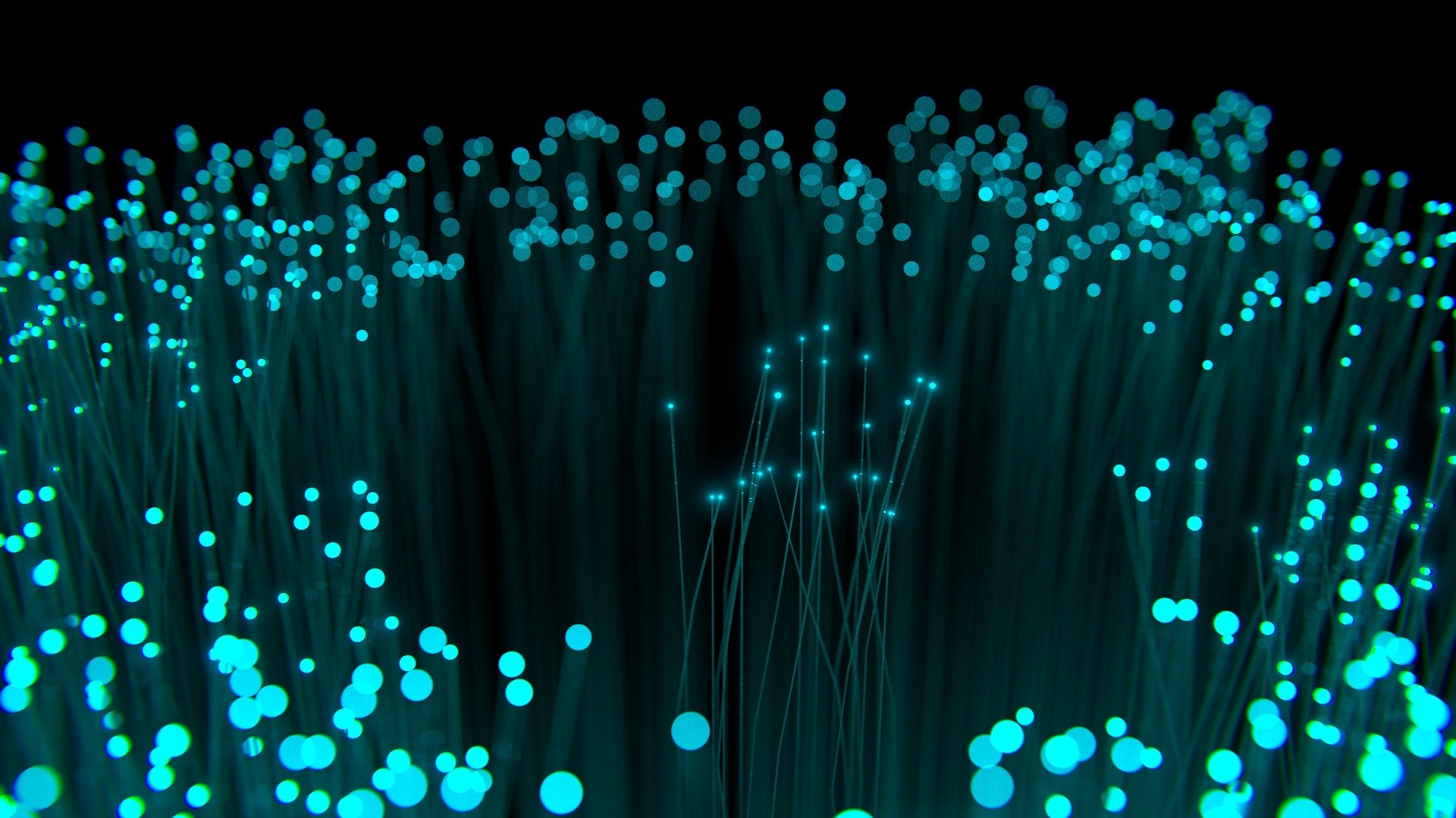 Precautions to Safeguard the Data
